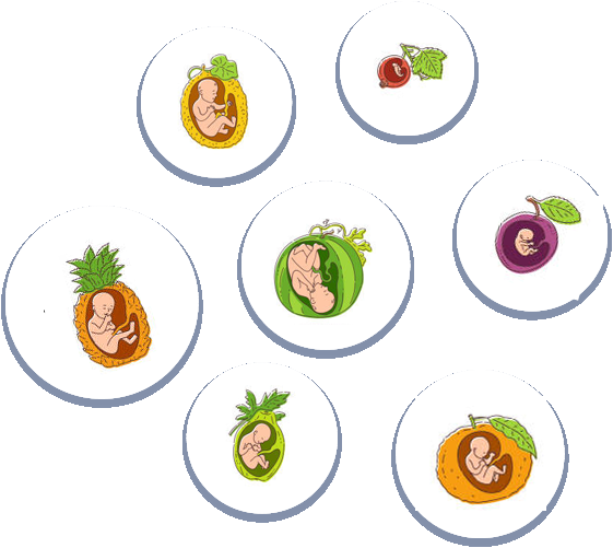 Faq Image